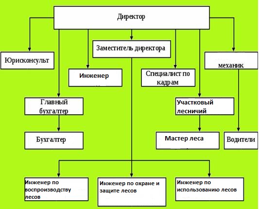 СТРУКТУРА ЛЕСНИЧЕСТВА для размещения на сайте.jpg СТРУКТУРА ЛЕСНИЧЕСТВА для размещения на сайте.jpg